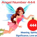 what does angel number 444 mean