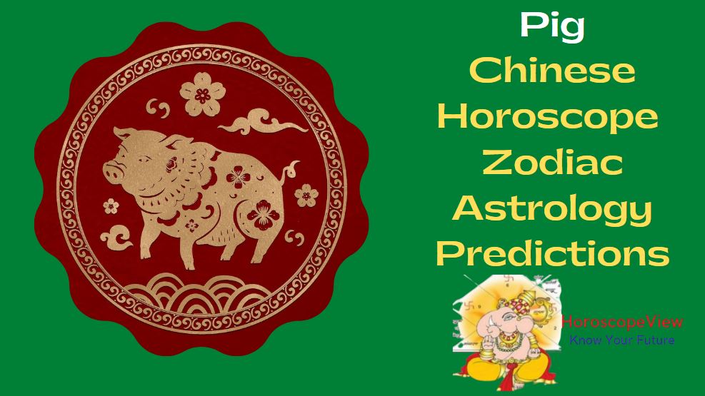 Chinese Pig Horoscope 2023