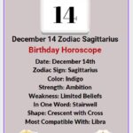 December 14 Zodiac Sign