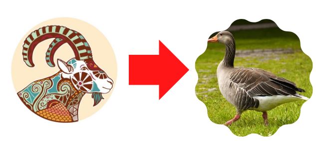 Capricorn animal goose