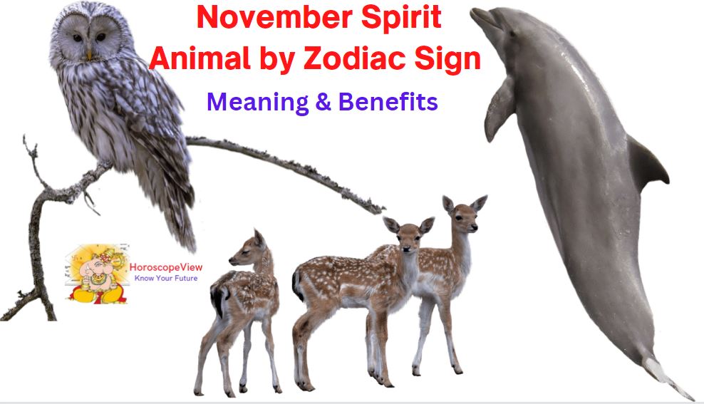 November Spirit Animal by Zodiac Sign - Meaning & Benefits