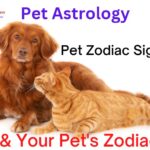pet zodiac sign