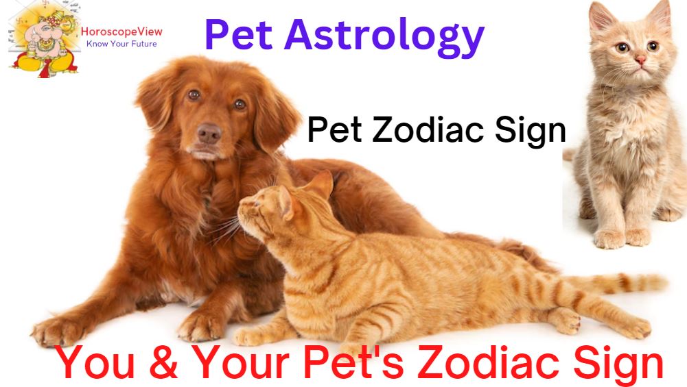 pet zodiac sign