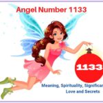 angel number 1133