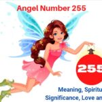 angel number 255