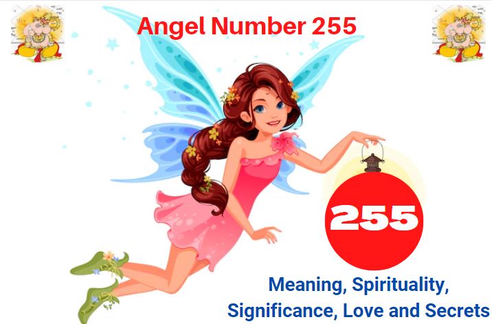 angel number 255
