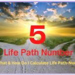 What does the life path number 5 mean