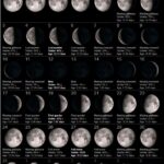 moon phase december 2023