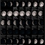 moon phases november 2022
