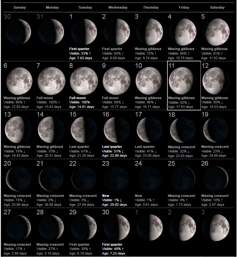 moon phases november 2022