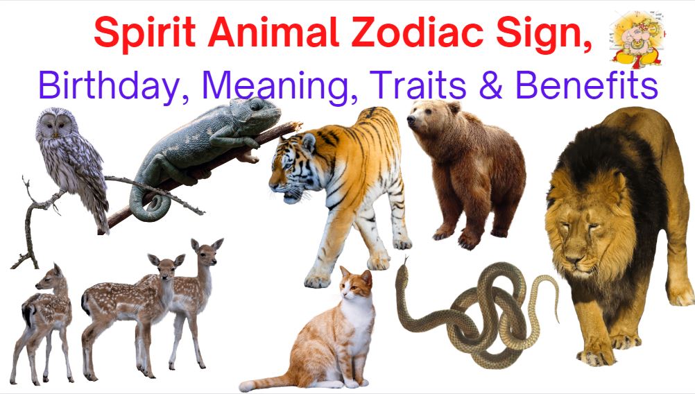 Spirit Animal Zodiac Sign, Birthday, Meaning, Traits & Benefits