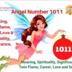 1011 angel number