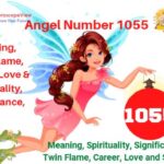 1055 angel number meaning