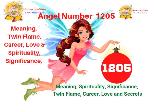 1205 angel number