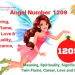 1209 Angel Number