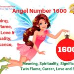 1600 angel number