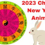2023 chinese new year animal