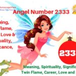 2333 angel number meaning