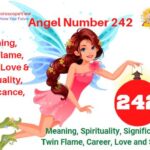 242 angel number meaning