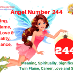 244 Angel Number