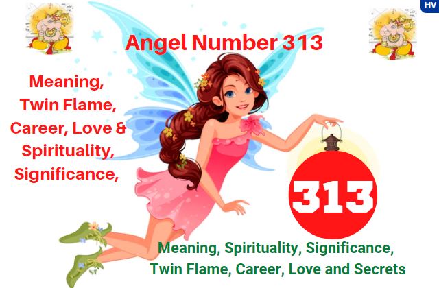 313 angel number