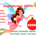 55555 angel number meaning
