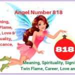 818 angel number meaning