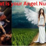 What is your angel number