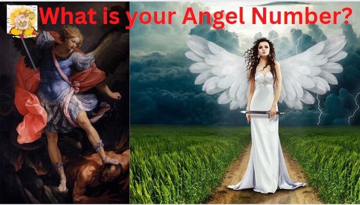 What is your angel number