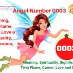 angel number 0003