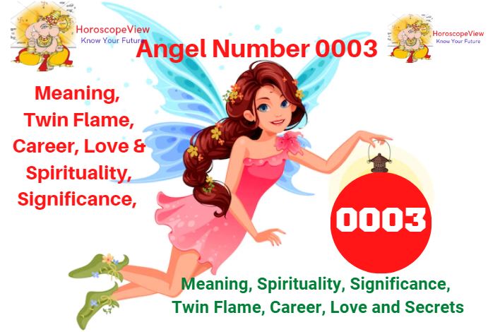 angel number 0003