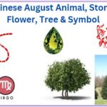 Chinese August Animal