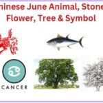 Chinese June animal