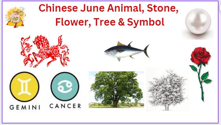 Chinese June animal