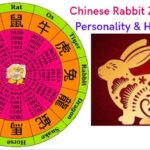 Chinese Rabbit Zodiac Sign