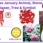 Chinese January animal