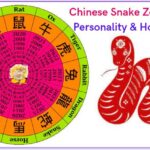 snake Zodiac sign