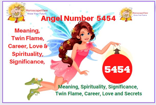 5454 angel number twin flame