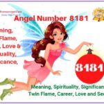 8181 angel number meaning