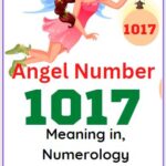 1017 angel number