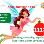 1113 Angel Number
