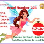 223 angel number