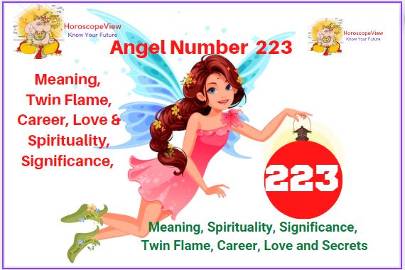 223 angel number