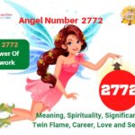 2772 angel number