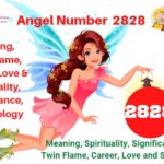 2828 angel number