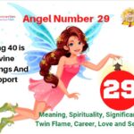 29 angel number
