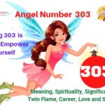 303 Angel Number