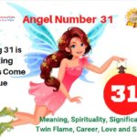 31 angel number