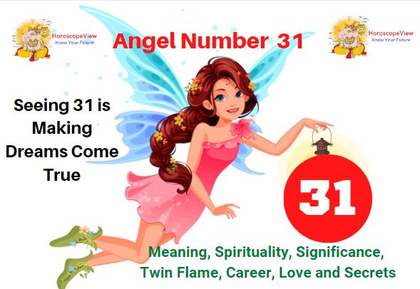 31 angel number 