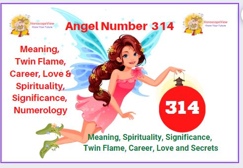 314 angel number